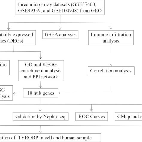 Identification Of Degs In Renal Glomerular Tissue From Igan Patients Download Scientific