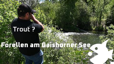 Forellen Angeln Am Gaishorner See Mit Dabei Fps Gummifische Mit