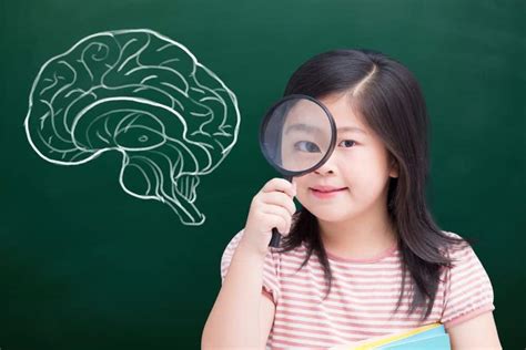 Juguetes Educativos Para Fomentar El Desarrollo Cognitivo En Beb S Circes