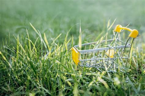 Nachhaltigkeit Beim Einkaufen Tipps F R Einen Besseren Lebensstil