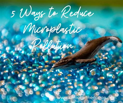 5 Ways To Reduce Microplastic Pollution Olivia For The Ocean