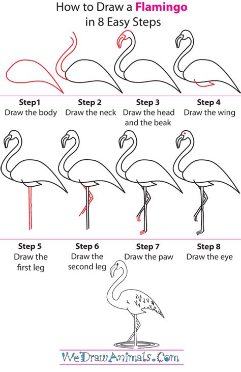 Flamingo easy drawing - Olfedas