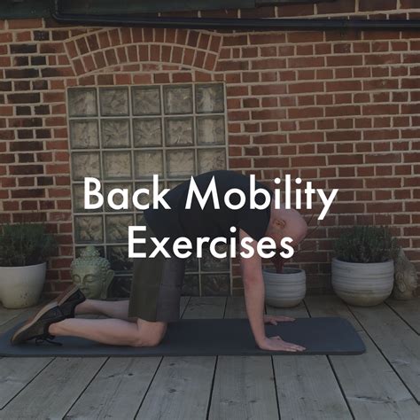 Back Mobility Exercises — Colchester Physiotherapy