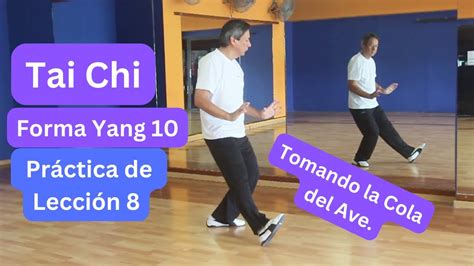 Tai Chi Práctica De Lección 8 Forma Yang 10 Movimientos Hasta