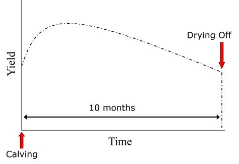 Colostrum and milk production Diagram | Quizlet