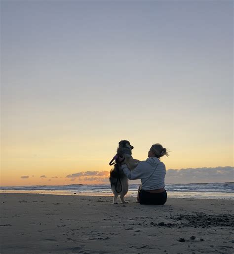 This blog explains the best resources for dc moms 16