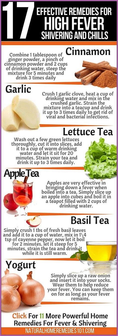 Home Remedies For Fever Dustinaresmiles