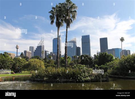 royal botanical gardens,sydney Stock Photo - Alamy