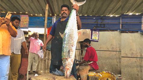 Kasimeduspeed Selvam Kg Big Vanjaram Fish Cutting Video King Fish