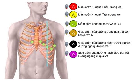 Phác đồ điều trị Quy trình kỹ thuật đo điện tim BS Nguyễn Tôn Kinh Thi