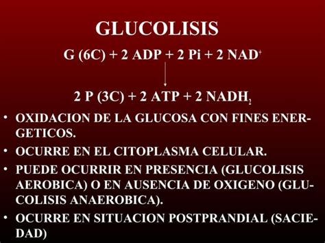 Clase 15 Glucolisis PPT