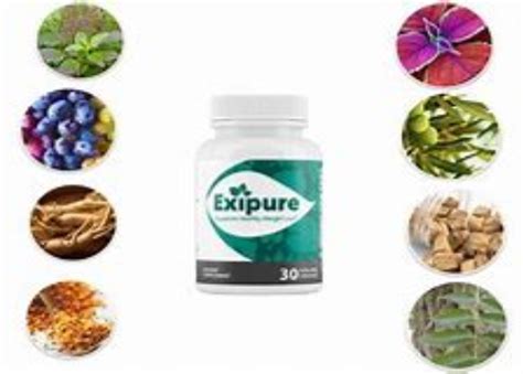 exipure complete review