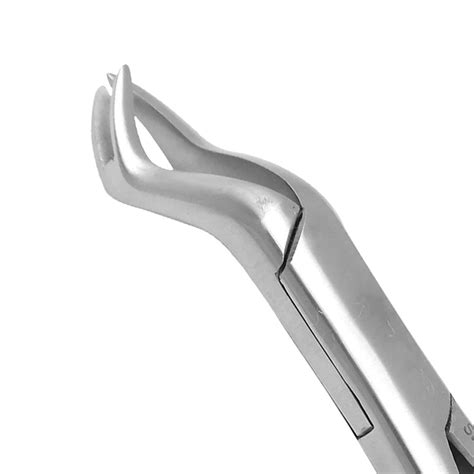 Pro Series 88r Universal Extracting Forceps For Upper Right 1st And