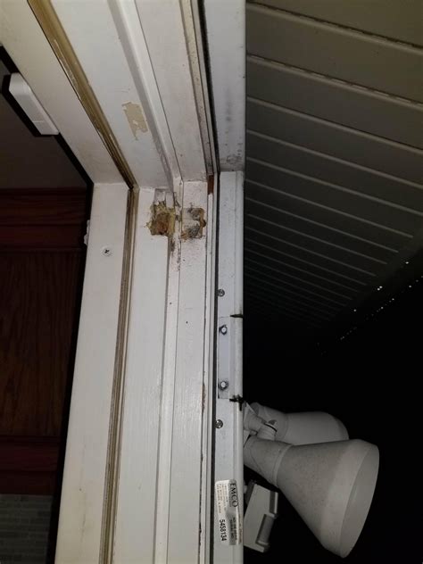 Storm Door Hinges Replacement at Gabriel Basser blog
