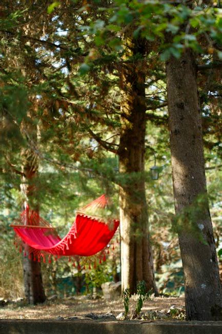 Top 5 Best Net Hammock 2024 Pixelfy Blog