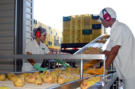 A importância das Boas Práticas de Fabricação BPF para as Indústrias