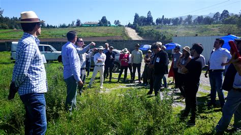 Equipos Finalistas Visitan Terreno Donde Se Construir El Nuevo Campus