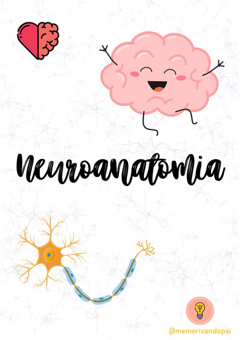 Apostila De Neuroanatomia