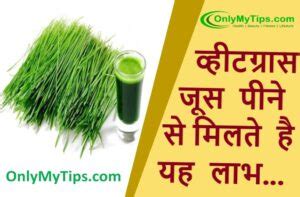 वहटगरस जस क सवन स मलत ह यह लभ Health Benefits of Drinking