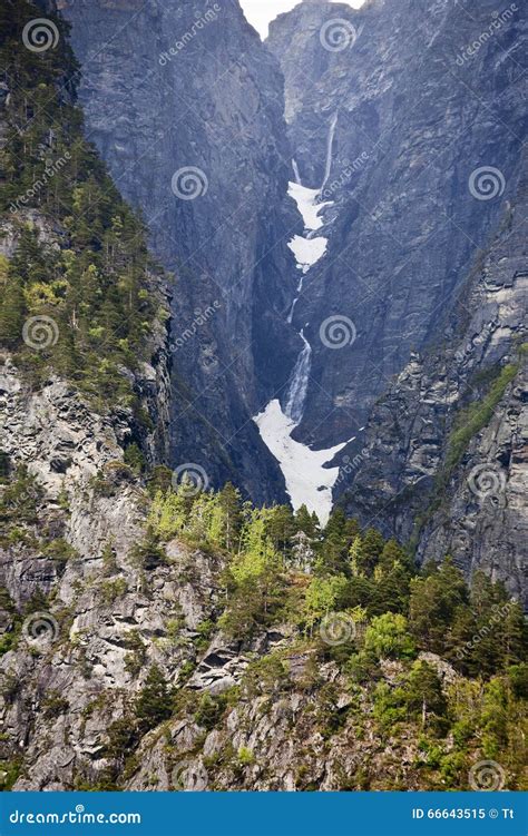 Mountain Ravine Stock Image Image Of Mountains Conifer 66643515