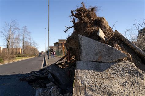 Raffiche Record In Lombardia Vento Pi Forte Degli Ultimi Anni