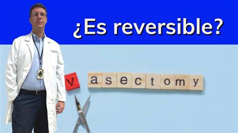 La Vasectomía Es Reversible Youtube