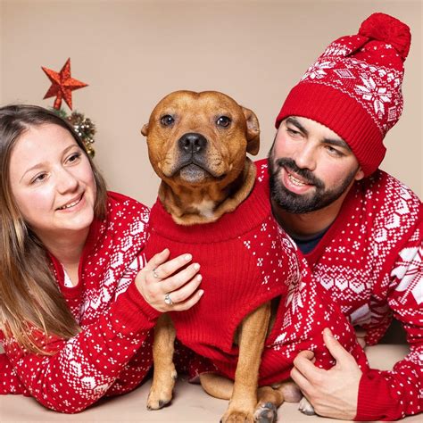 Matching Dog and Owner Christmas Sweaters