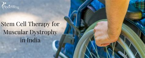 Stem Cell Muscular Dystrophy Treatment In India Best Package