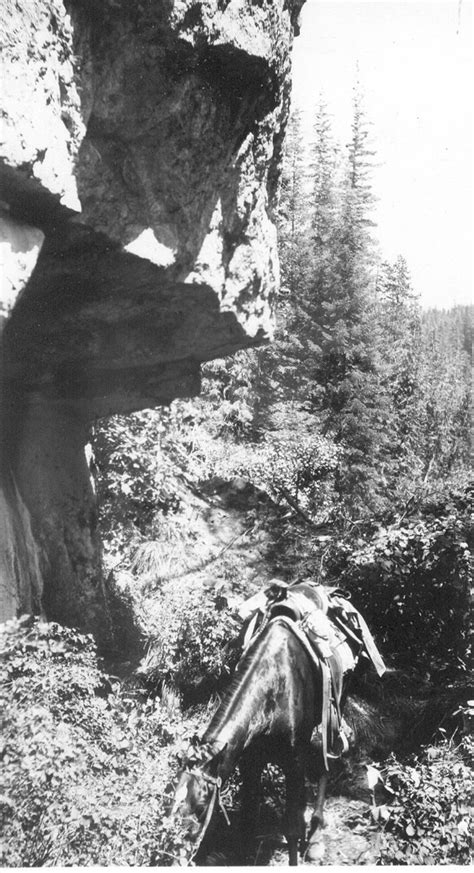 Northern Pacific Railroad Trail Along Lochsa Montana History Portal