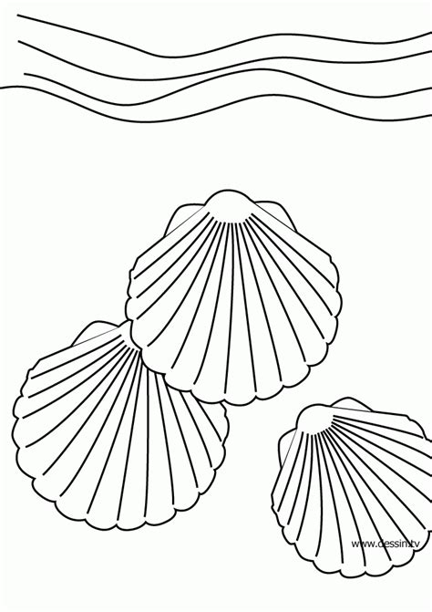 Seashell Coloring Pages Printable - Coloring Home