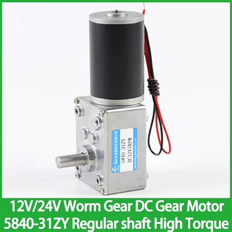 Mini Dc Reduction Motor 12v 24v Worm Gear Motor 5840 31zy High Torque