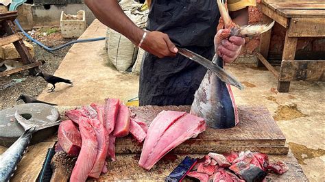 AMAZING GIANT RURAL FISH CUTTING EXPERTS IN BIGGEST STREET FISH