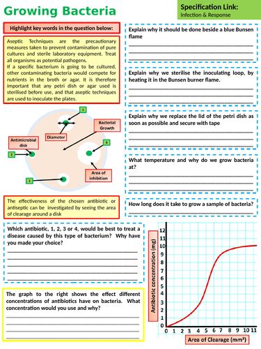 Ks4 Aqa Gcse Biology Science Antibiotics And Painkillers Lesson Teaching Resources