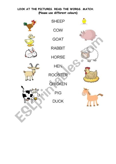 Matching Activity With Animal Families Super Simple Worksheets Library