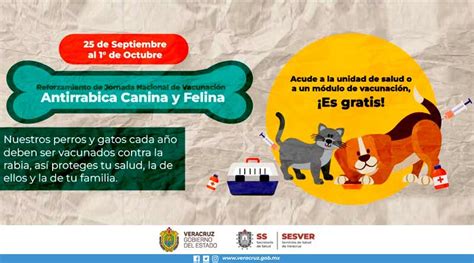 Jornada De Reforzamiento Nacional De Vacunaci N Antirr Bica Canina Y