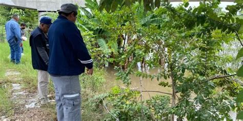 Muros Y Bordos De Protección Del Río Grijalva No Presentan Daños Ipcet