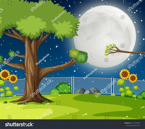 Night Garden Background Illustration Stock Vector (Royalty Free ...