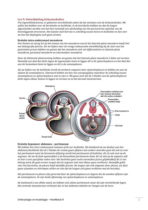 Hoofdstuk 9 Samenvatting Embryologie Les 9 Ontwikkeling