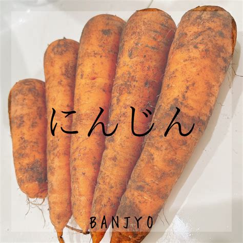 人参の保存方法 万匠【banjyo】