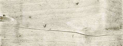 Old White Wood Texture Background Stock Image - Image of lumber, beige: 271696943