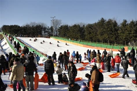 Korean Folk Village Sledding Hills 한국민속촌 눈썰매장 Trippose