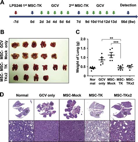 Therapeutic Strategies For Locally Recurrent And Metastatic De