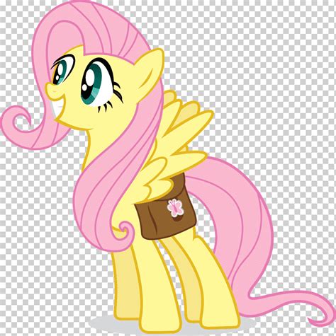 Fluttershy Rareza Arco Iris Dash Pony Diverso Mamífero Vertebrado