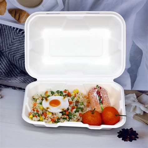 Eco Friendly Biodegradable Sugarcane Bagasse Food Packaging Container