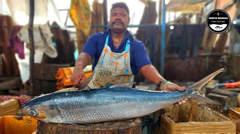 Big Aalathi Fish Kasimedu Expert Fish Cutter Speed Selvam Fish