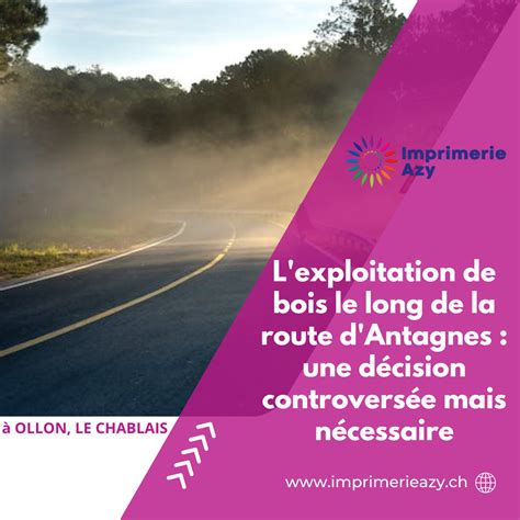 L Exploitation De Bois Le Long De La Route D Antagnes Une D Cision