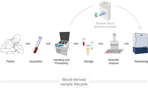 Pre Analytical Considerations In Biomarker Research Focus On