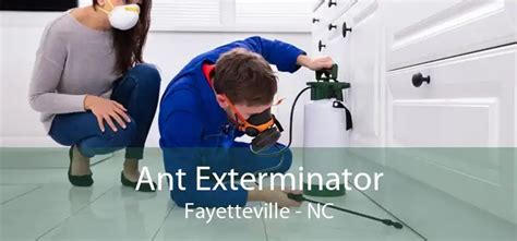 Ant Exterminator Fayetteville, NC - Ant Exterminator Near Me