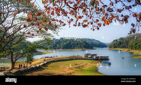 Periyar Lake Is Located In The Center Of Periyar National Park Is A