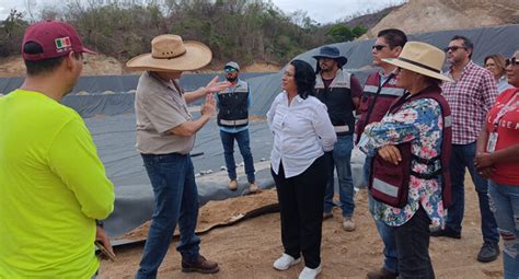 Recorre Abelina L Pez Rodr Guez Obra De Nueva Celda Del Relleno